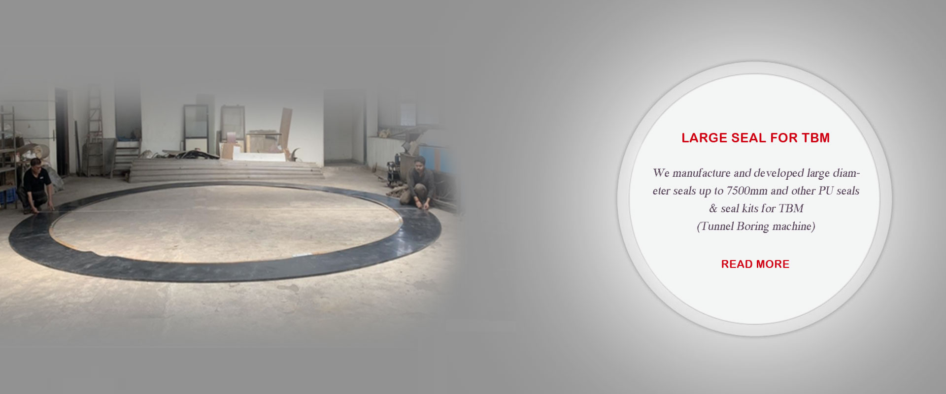 Large Seal for TBM - We offer extensive range of Customized Large Seal for TBM.