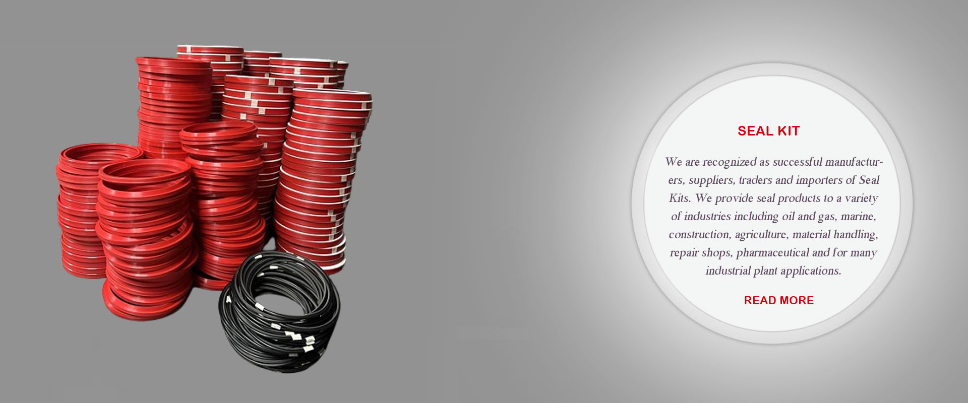 Hydraulic Seal & Pneumatic Seals - We offer extensive range of Customized Hydraulic & Pneumatic Machined Seals from 10mm to 1500mm Dia within shortest possible time with imported Polyurethane, Rubber, Teflon & Nylon material.